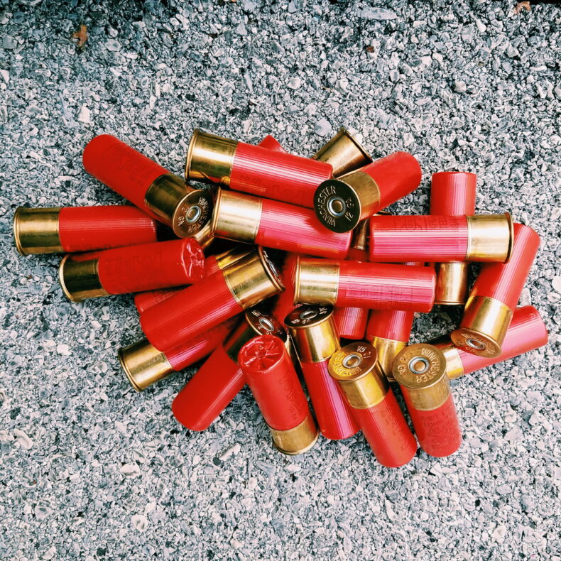 Photo of 12 gauge shotgun shells