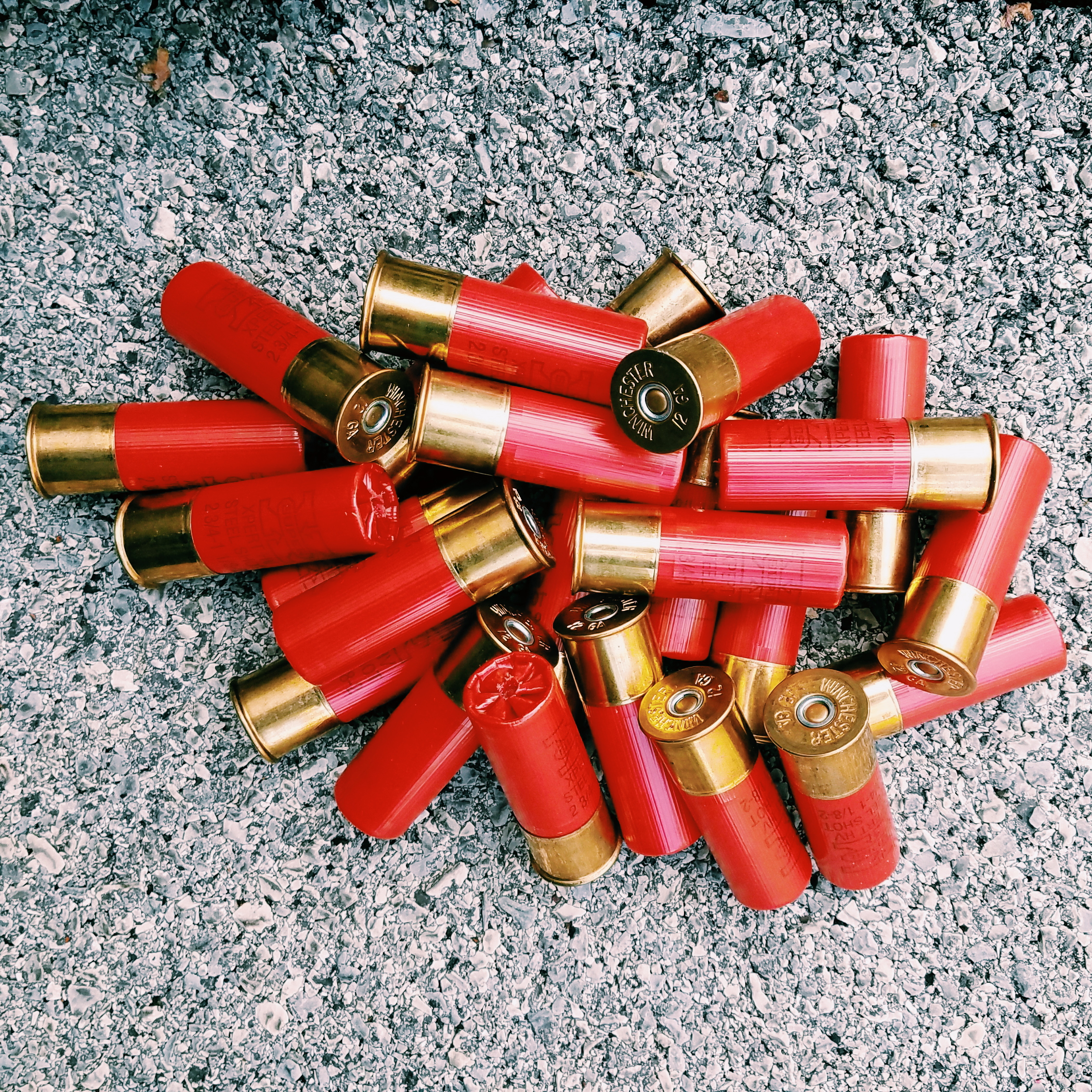 Different Types Of 12 Gauge Shotgun Shells - BEST GAMES WALKTHROUGH