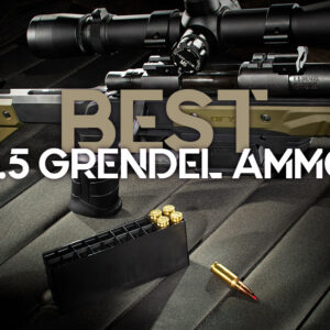 Best 6.5 Grendel Ammo