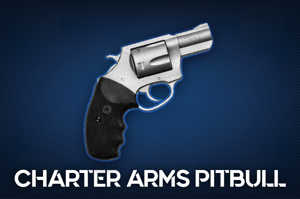a photo of the Charter Arms Pitbull 