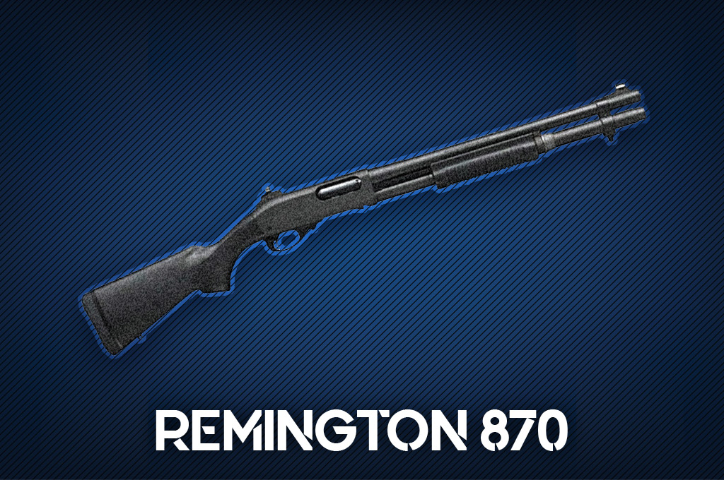 a photo of the Remington 870 police guns