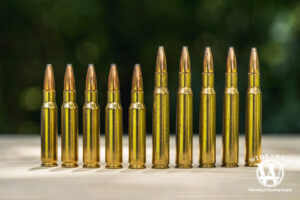 Best 30-06 Ammo: Still A Good Choice For Hunting?