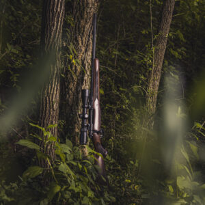a photo of a hunting rifle leaning against a tree in a forrest