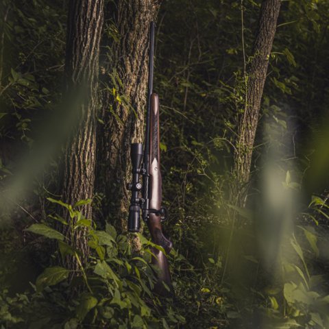 a photo of a hunting rifle leaning against a tree in a forrest