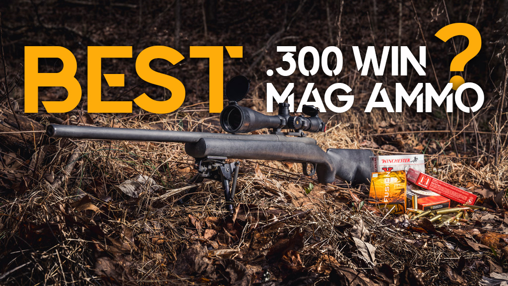 Best 300 Win Mag Ammo
