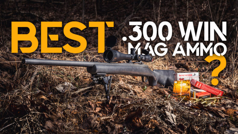 Best 300 Win Mag Ammo