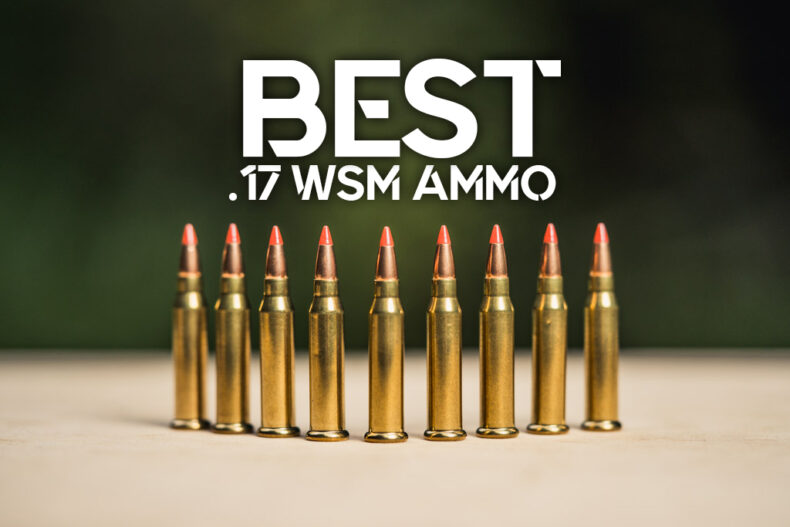 Best 17 WSM Ammo - Wideners Shooting, Hunting & Gun Blog