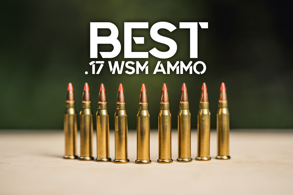 best 17 wsm ammo