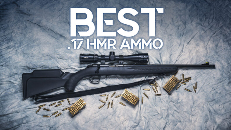 best 17 HMR ammo