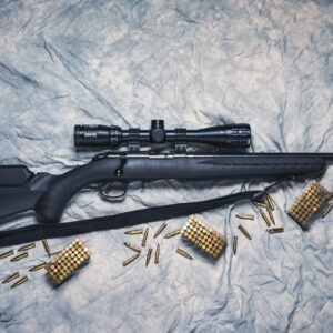 photo of a ruger rimfire rifle with ammo