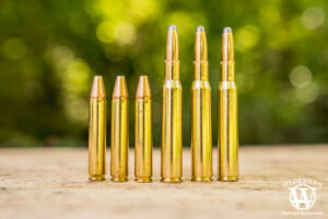 350 Legend: Caliber Overview & Best Ammo Options - Wideners Shooting ...