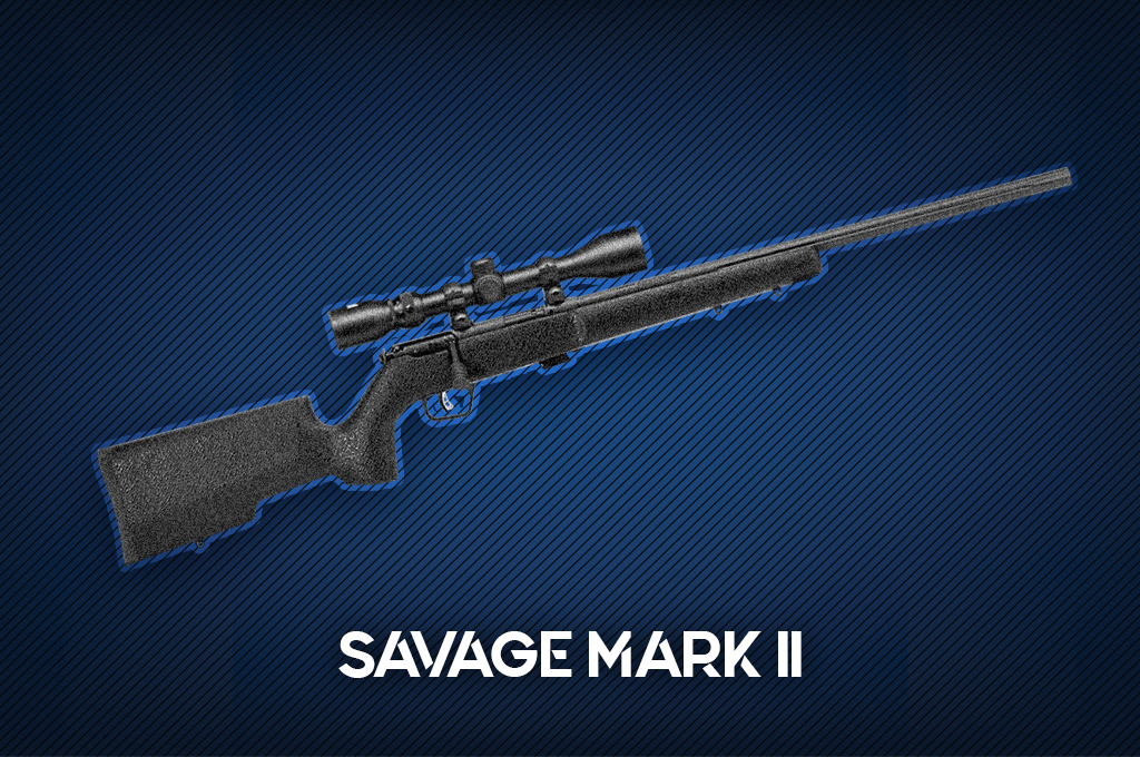 a photo of the Savage Mark II bolt action rifle
