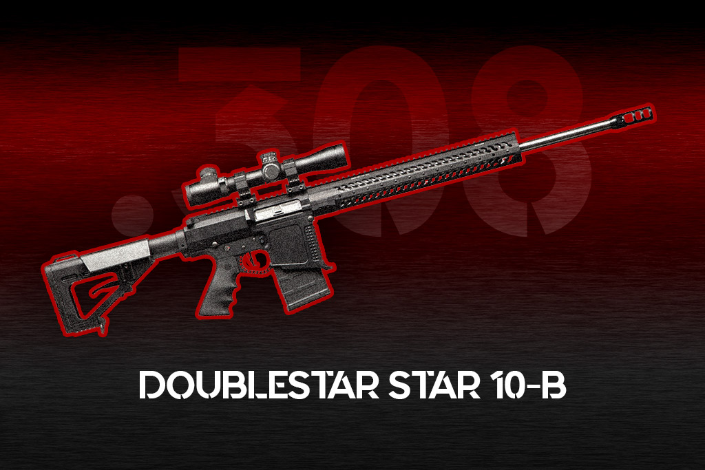 a photo of the DoubleStar Star 10-B best 308 rifle