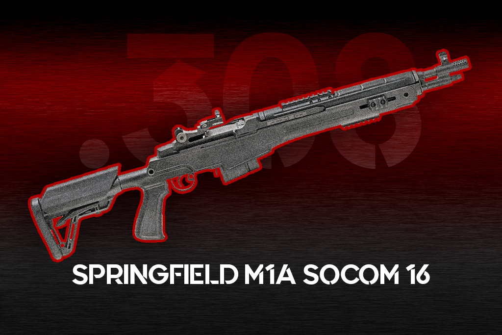 a photo of the Springfield M1A