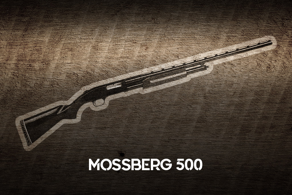 a photo of the Mossberg 500 shotgun