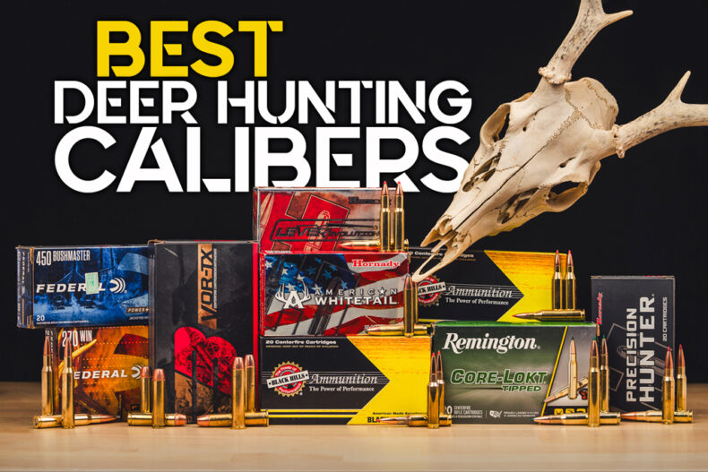 Best Deer Hunting Calibers