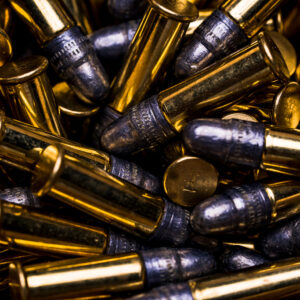 photo of 22 LR bullets