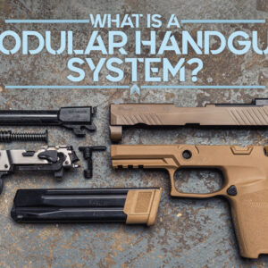 Modular Handgun System