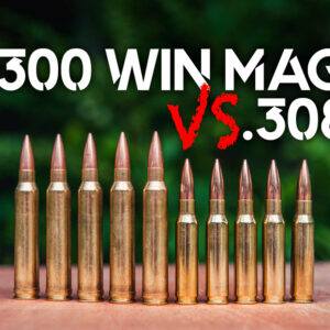 300 Win Mag VS 308