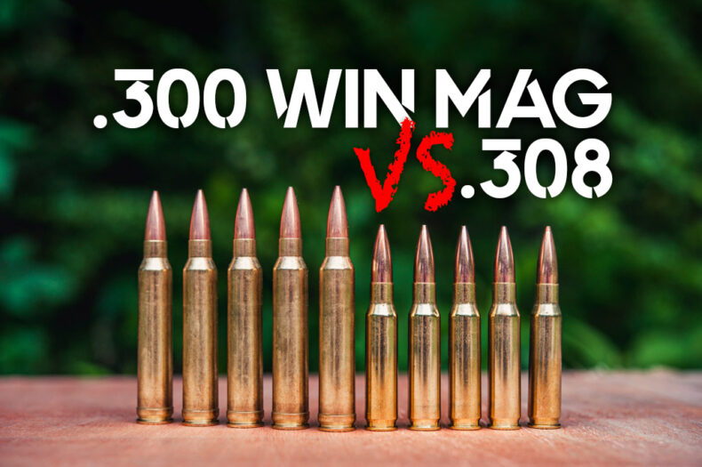 300 Win Mag VS 308