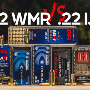 22 LR VS 22 WMR