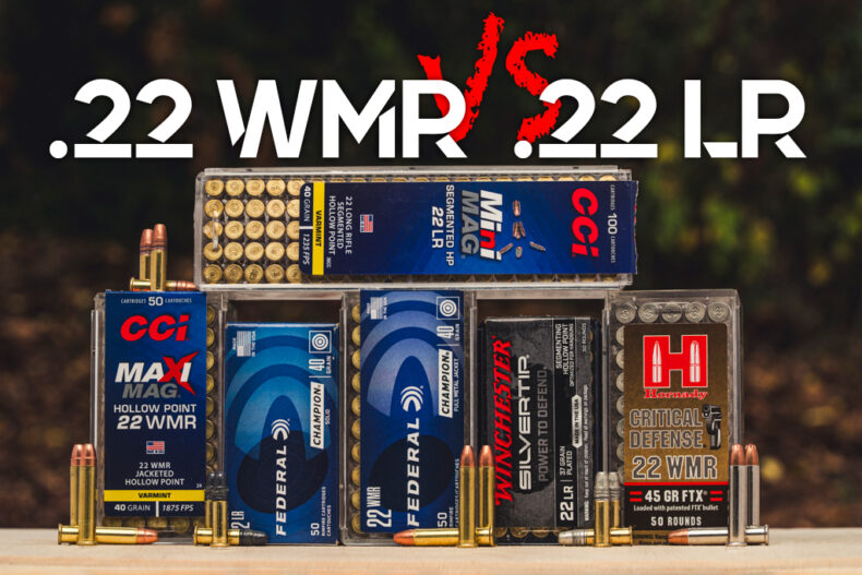 22 LR VS 22 WMR