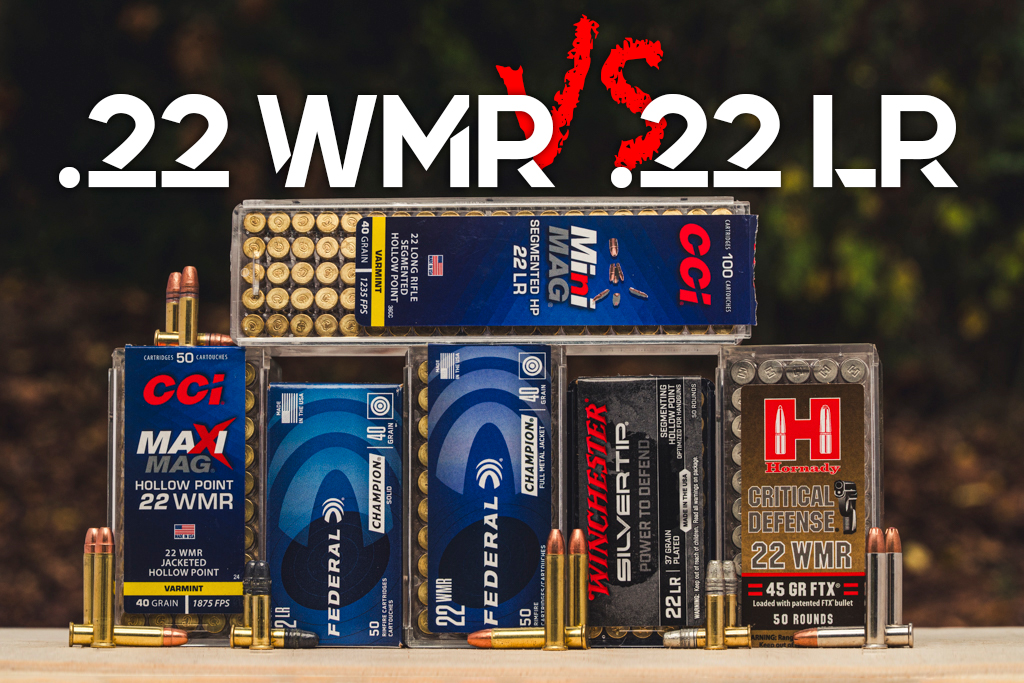 22 LR VS 22 WMR