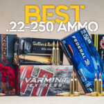 Best 22-250 Ammo