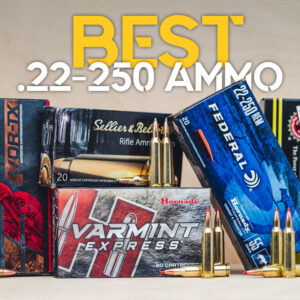 Best 22-250 Ammo