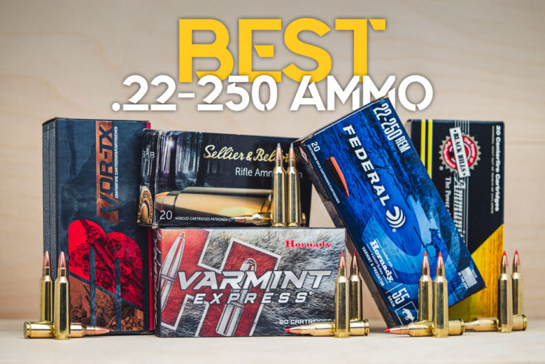Best 22-250 Ammo