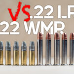 22 WMR VS 22LR