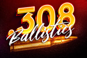 308 ballistics