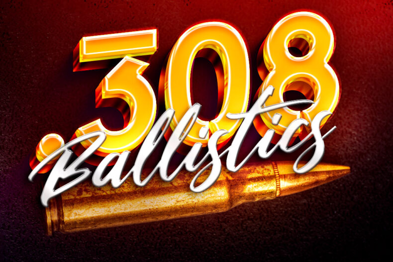 308 ballistics 