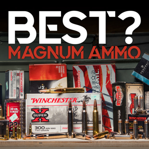 Best Magnum Ammo