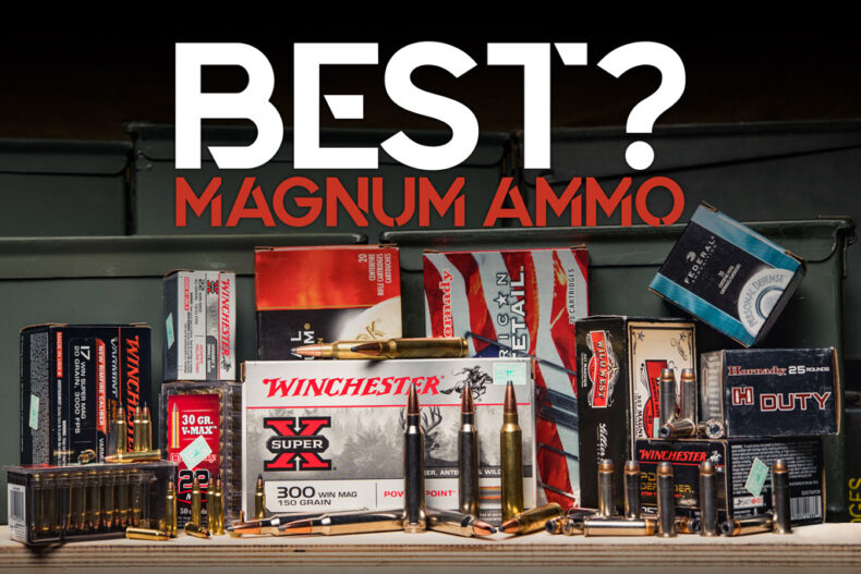 Best Magnum Ammo