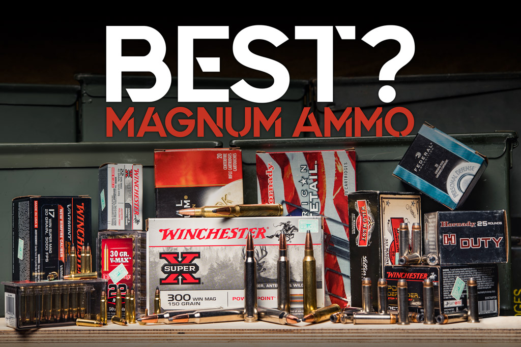 Best Magnum Ammo