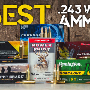 Best 243 Ammo