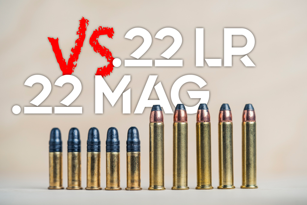 22LR VS 22 Mag - Wideners Shooting, Hunting & Gun Blog