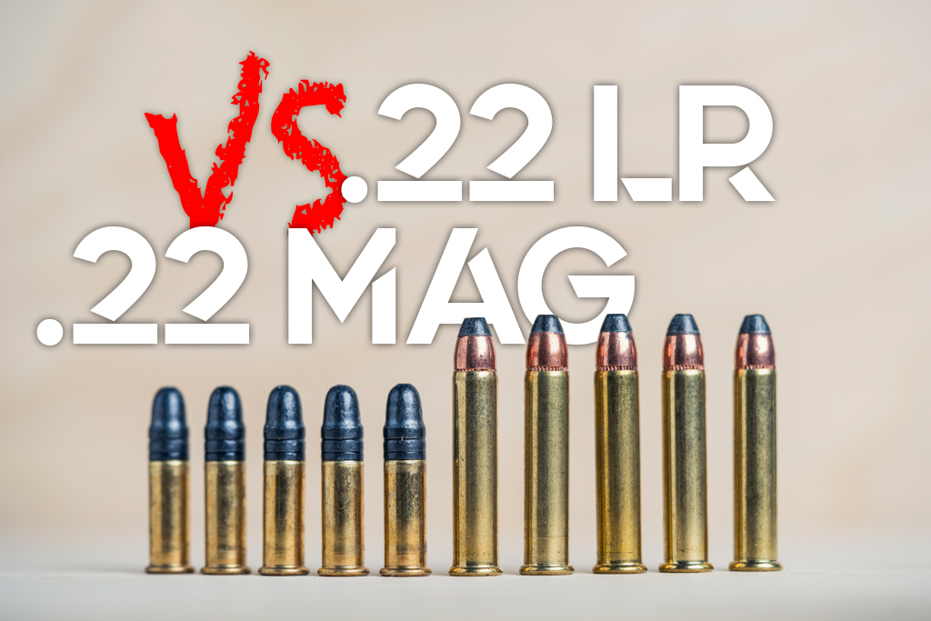 22LR VS 22 Mag