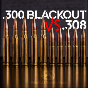 300 blackout VS 308