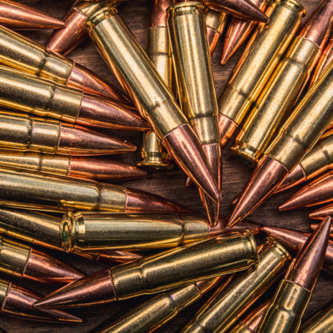macro photo of 300 BLK ammo