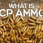 what is acp ammo