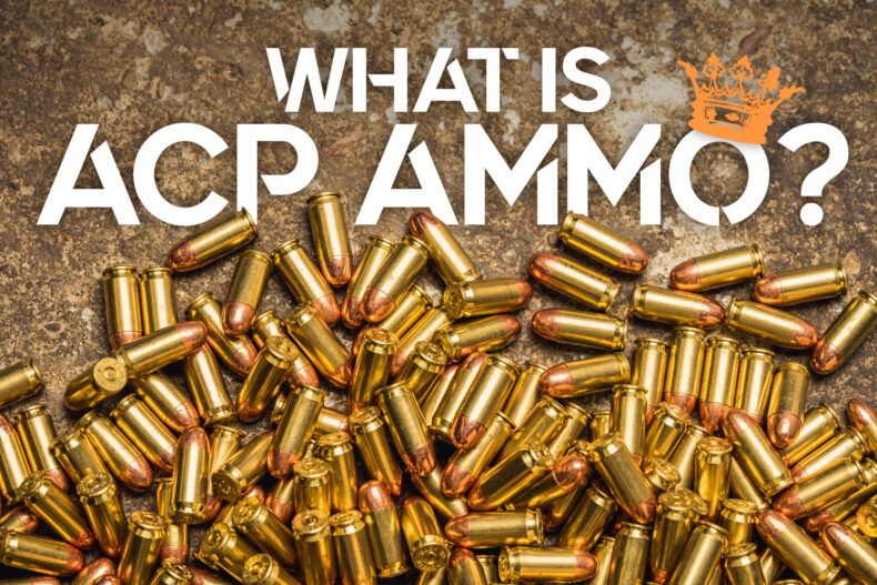 what is acp ammo