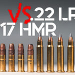 17 HMR VS 22LR