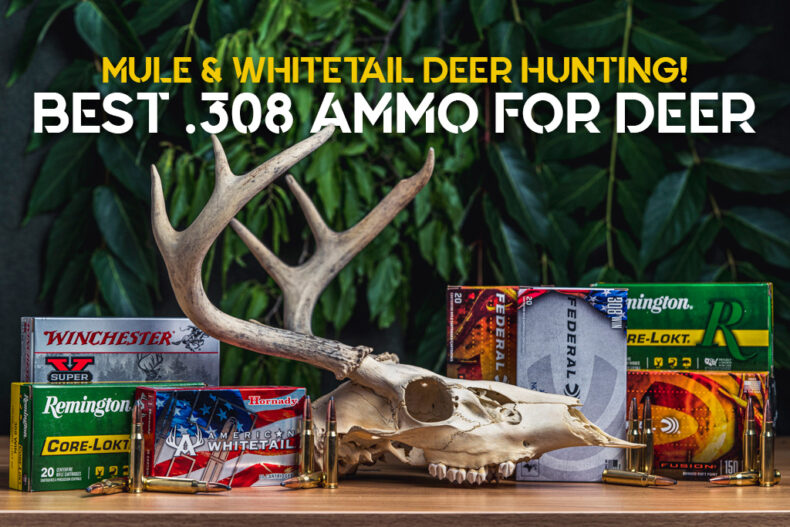 308 ammo for deer
