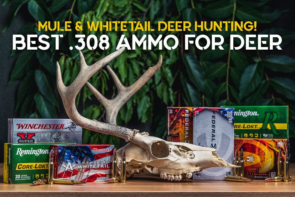 308 ammo for deer