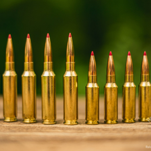 a photo comparing 6.5 creedmoor vs 6.5 grendel ammo