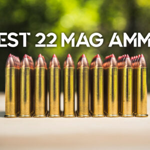 best 22 mag ammo