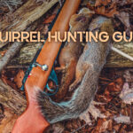 squirrel hunting guide