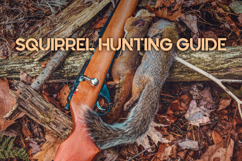 squirrel hunting guide